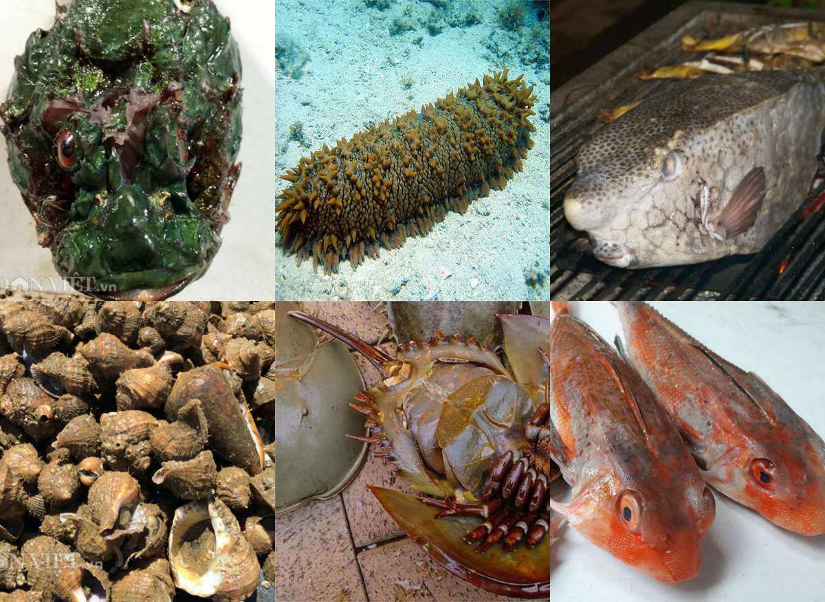 Nổi tiếng 'xấu hết phần thiên hạ', 6 đặc sản này ăn ngon không tưởng