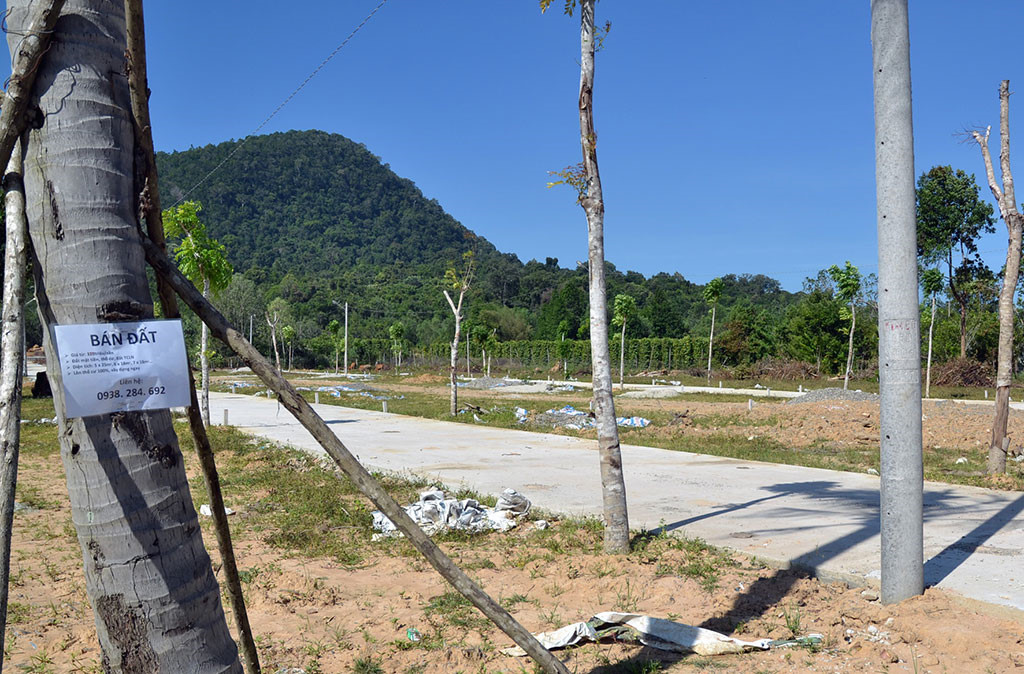 Phó Thủ tướng chỉ đạo thanh tra việc sử dụng đất nông nghiệp tại Phú Quốc