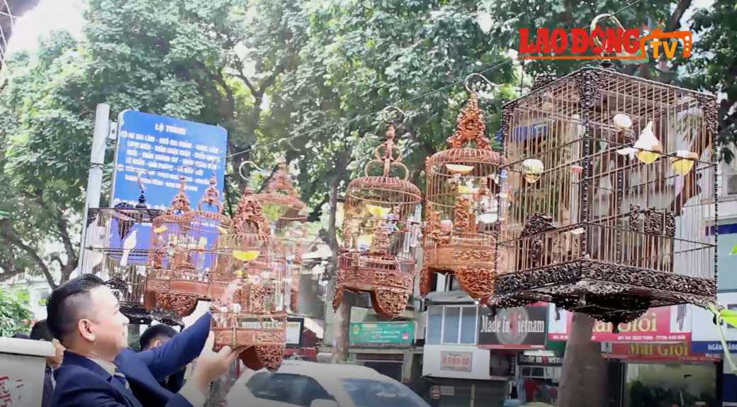 Ngắm bộ sưu tập chim màu giá gần 10 tỷ đồng tại Việt Nam