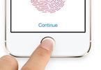 Apple bị tố đánh cắp sáng chế Touch ID trên iPhone