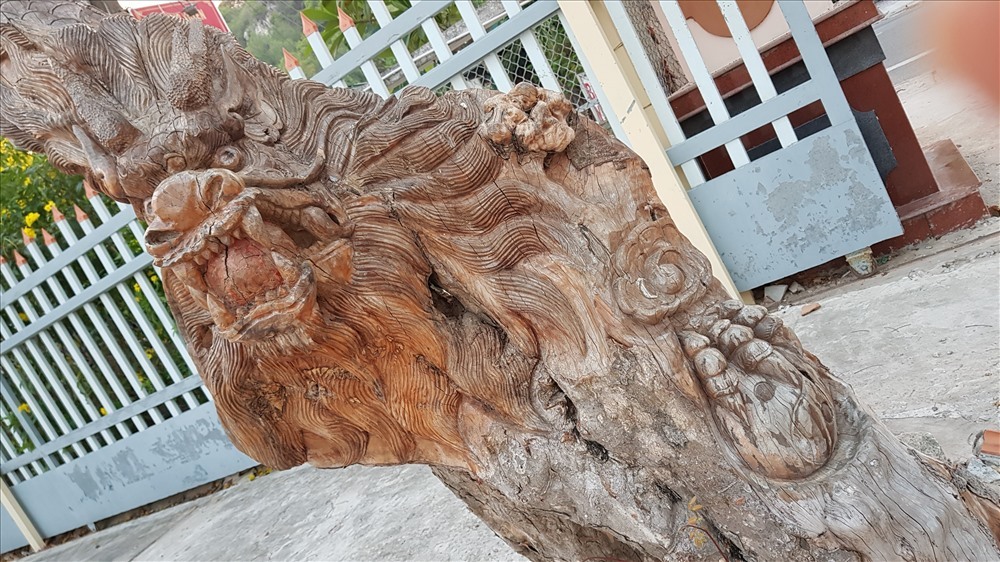 Kinh ngạc cây tươi bỗng 'hóa rồng' ở An Giang