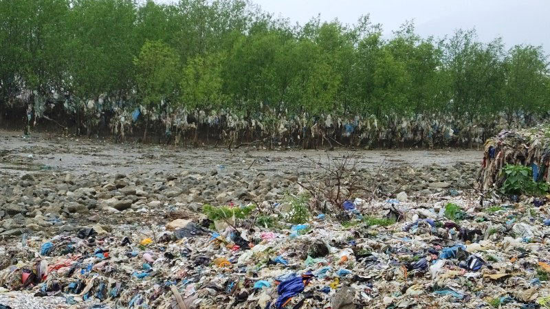 Rừng phòng hộ kêu cứu vì cảnh khủng khiếp khó tin