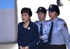Nữ cựu Tổng thống Hàn Quốc từ chối kháng cáo