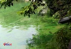 Hà Nội: Xuất hiện váng nước lạ trải dài ven hồ Gươm