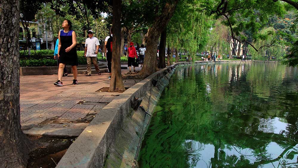 vang xanh ho hoan kiem