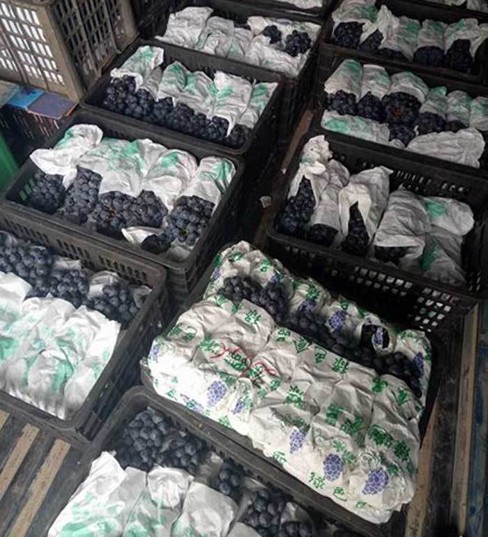 táo trung quốc,nho trung quốc,đào trung quốc,thanh mai trung quốc,hoa quả trung quốc,dâu tây trung quốc,hoa quả giá rẻ,kiwi trung quốc