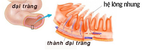 700 bằng đại học sai chính tả, hiệu trưởng xin lỗi sinh viên