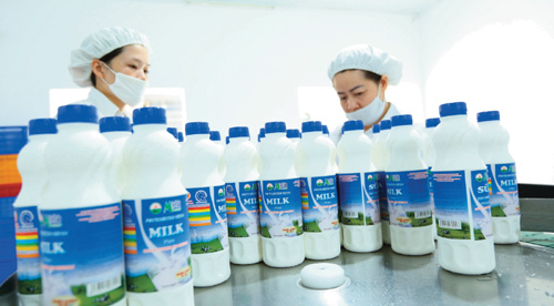 Uống sữa Mộc Châu, rinh xe SH