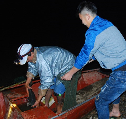 Nửa đêm đi săn 'quý ngư' bạc triệu trên 'địa chỉ đỏ' sông Hồng