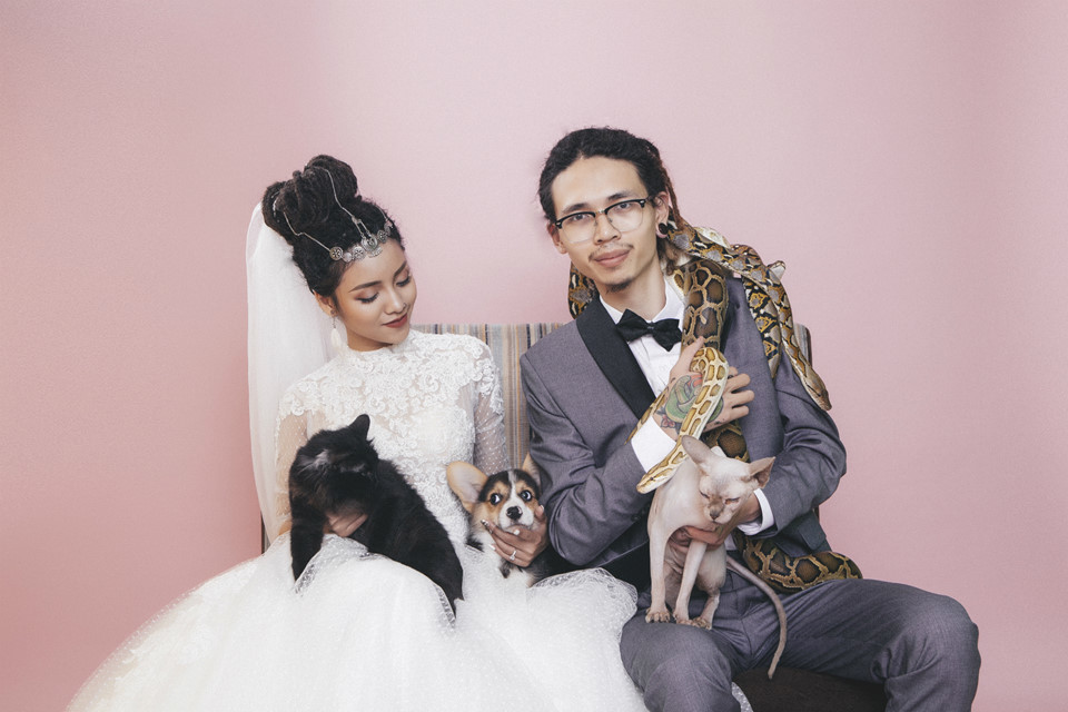 Ảnh cưới bên trăn, nhện của đôi trẻ nuôi nhiều loài bò sát