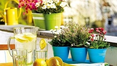 Ban công mùa hè đẹp dịu dàng nhờ decor với sắc màu hoa cỏ