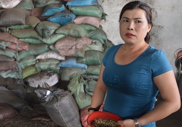 Khởi tố, bắt giam 5 người vụ 'hỗn hợp pin' trộn tiêu ở Đắk Nông