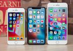 Nghịch lý Apple: iPhone 8 và iPhone 8 Plus bán chạy, iPhone X ế hàng