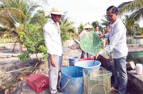 Bán 3 căn nhà để đi học nuôi cá