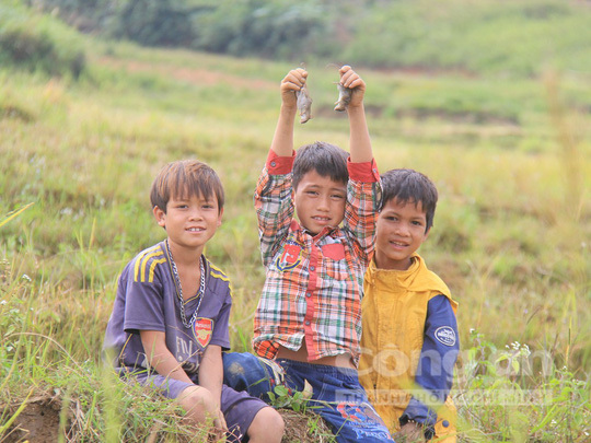 Căng thẳng săn 'chuột quý tộc' ở Kon Tum