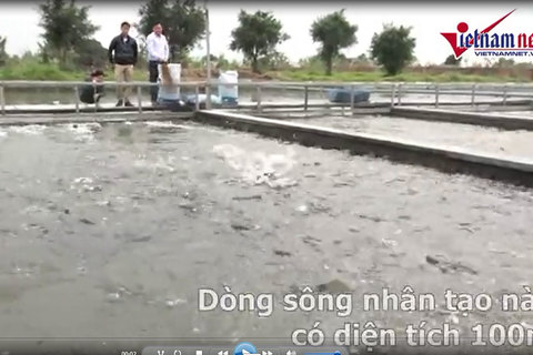 Xây sông nhân tạo nuôi cá, thu tiền tỉ trong vài tháng