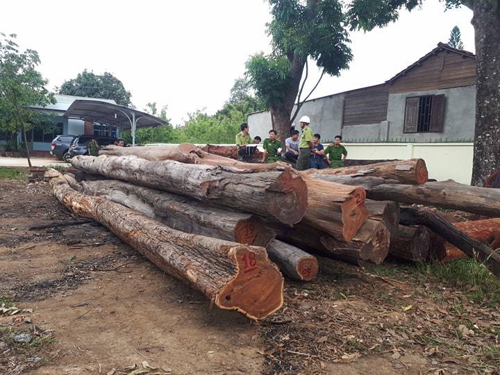 Bộ Công an vây bắt gỗ lậu cực lớn sát đồn biên phòng ở Đắk Lắk