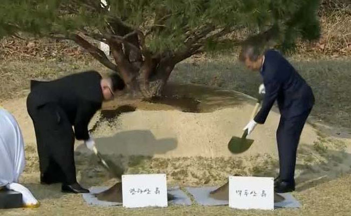 Ý nghĩa việc trồng cây và tản bộ không cần vệ sĩ của lãnh đạo Hàn-Triều