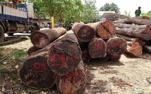 Vụ gỗ lậu ở Đắk Lắk: Bắt đàn em thân tín của trùm Phượng 'râu'