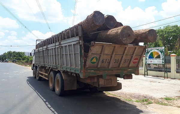 Vụ bắt gỗ lậu tại Đắk Lắk: Thông tin bất ngờ từ Cục Kiểm lâm