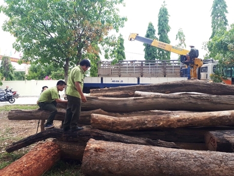 Cơ quan chức năng đang kiểm đếm một phần tang vật liên quan đến vụ án của Phượng "râu"