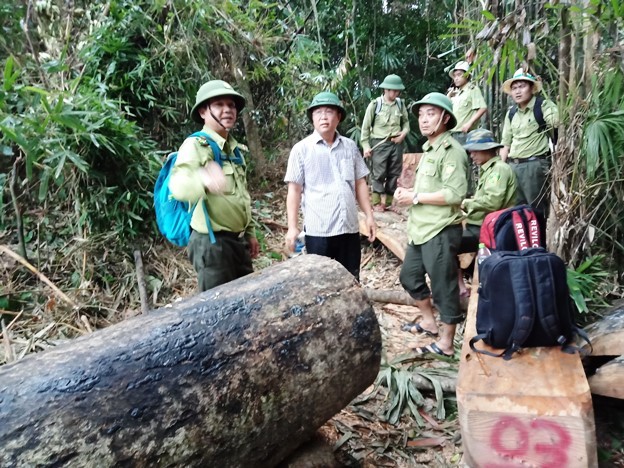 Hàng loạt cán bộ kiểm lâm bị kỷ luật, cách chức