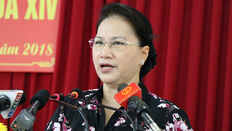 Chủ tịch QH lên tiếng vụ đánh thuế nhà 700 triệu, sản xuất thuốc giả