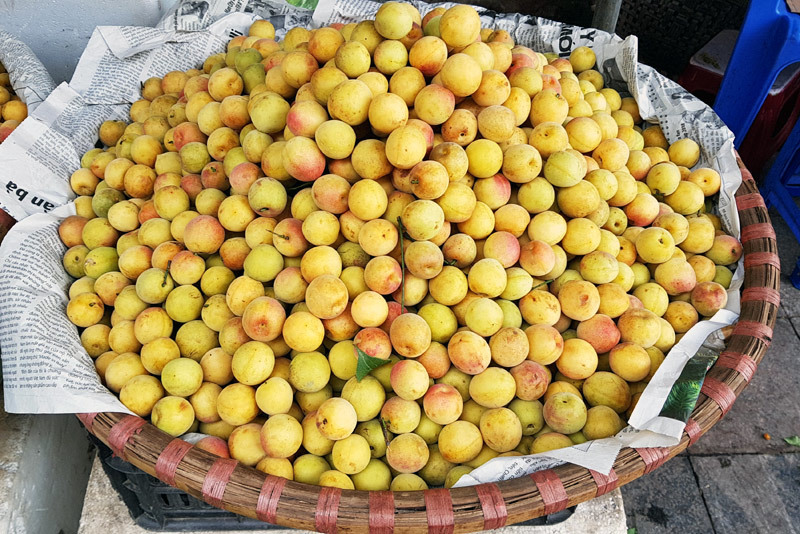 mơ vàng,mơ chùa Hương,mơ ngâm,quả mơ,nước mơ