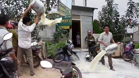 Nông dân đổ sữa lênh láng, công ty sữa lên tiếng
