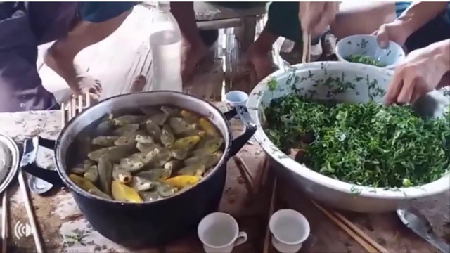 Kinh hãi món 'cá nhảy' tanh tách trong cổ họng dân nhậu ở Sơn La