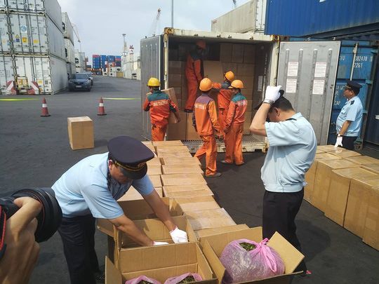 Hơn 2 tấn lá khát núp danh chè, cà phê về cảng Hải Phòng