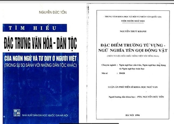 giáo sư,đạo văn,Hội đồng chức danh giáo sư Nhà nước
