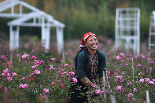 Ngắm dinh thự lung linh của “Vua bọ cạp”