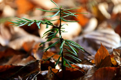 Chuyện làm mẹ đơn thân, mua nhà Hà Nội của nữ giảng viên