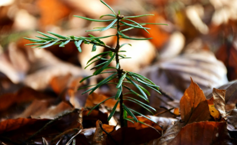 Chuyện làm mẹ đơn thân, mua nhà Hà Nội của nữ giảng viên