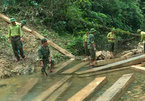 Vụ phá rừng đầu nguồn Quảng Bình: Phó chủ tịch huyện bị kỉ luật