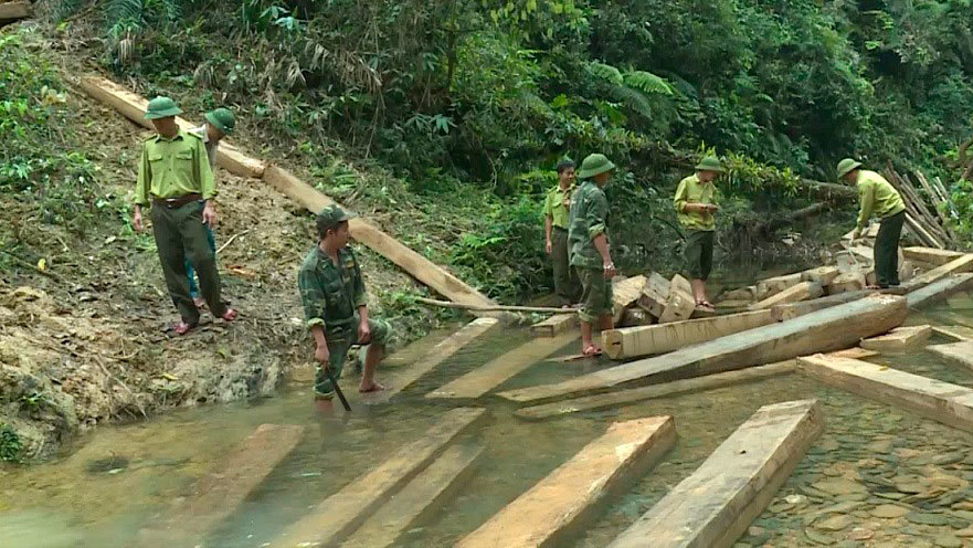 Vụ phá rừng đầu nguồn Quảng Bình: Phó chủ tịch huyện bị kỉ luật