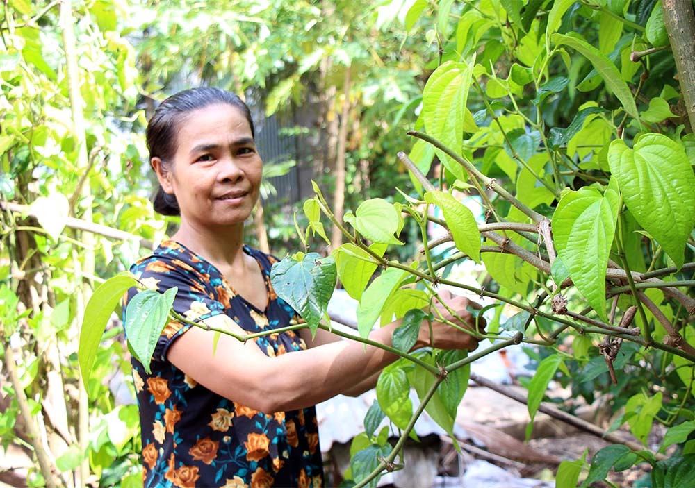 chuyện lạ,bệnh lạ,Cần Thơ