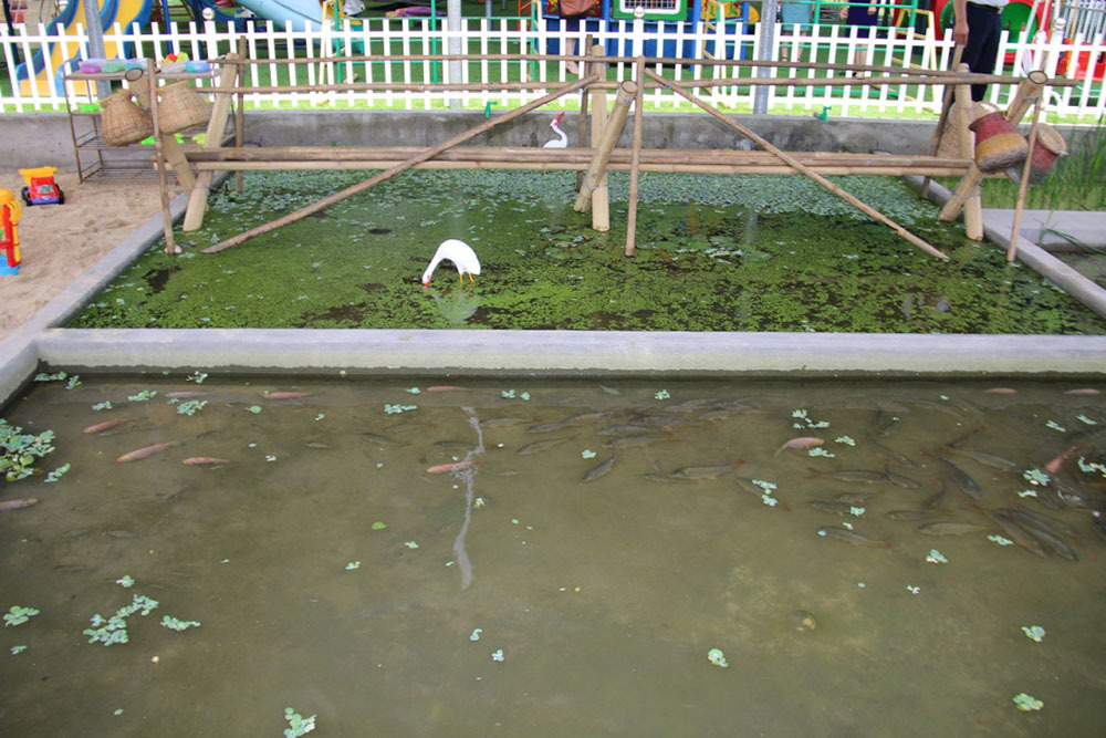 giáo dục mầm non,đổi mới giáo dục