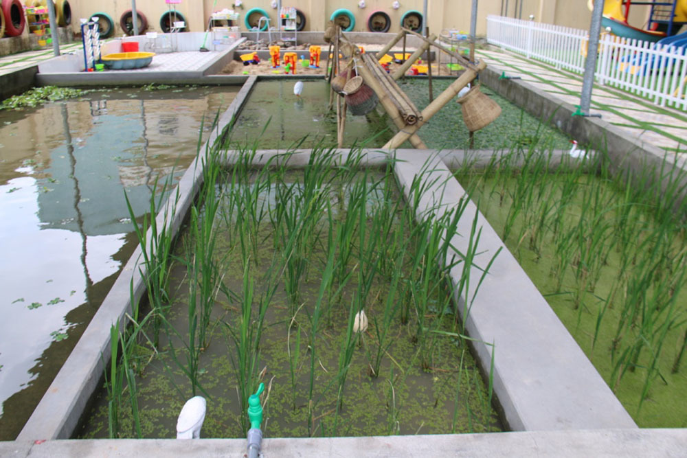 giáo dục mầm non,đổi mới giáo dục