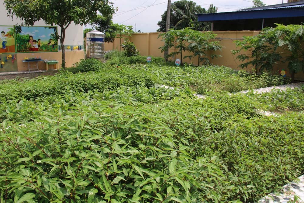 giáo dục mầm non,đổi mới giáo dục