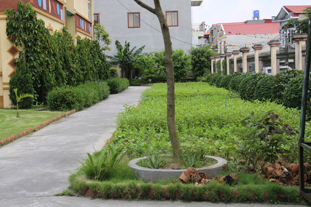 giáo dục mầm non,đổi mới giáo dục