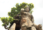 Xôn xao 'cây Thạch Sanh' được báo giá hơn 4 tỷ ở Hải Dương