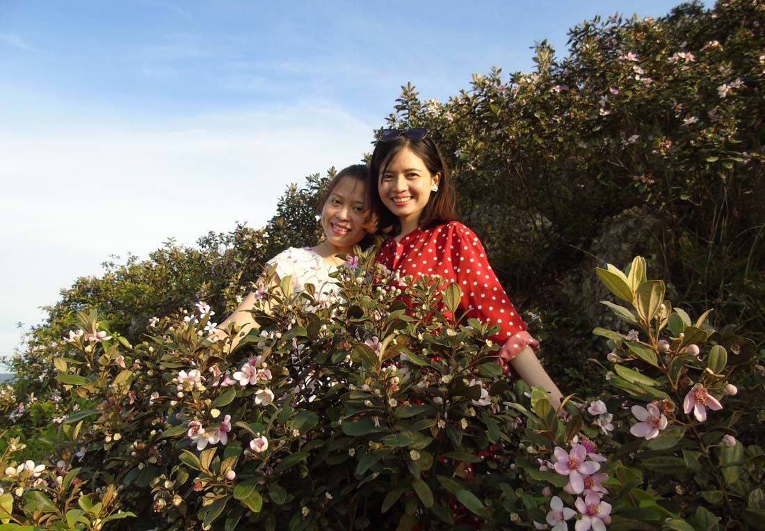 Đồi hoa sim rực rỡ tại Rú Nhon là một trong những điểm đến tuyệt vời cho những ai yêu hoa và muốn trốn khỏi nhịp sống bận rộn, hãy cùng admiring những hình ảnh thật đẹp của đồi hoa sim này.