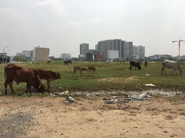 Sốt đất bùng phát, chưa lo “bong bóng” vỡ?