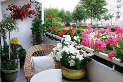 Gặp người yêu cũ giàu có trong vai anh giao ga, tôi có nên giúp đỡ?