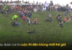 Người lăn lông lốc trong cuộc thi 'điên' nhất thế giới