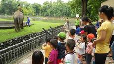 Những địa điểm vui chơi lý tưởng cho bé dịp Tết Thiếu nhi 1/6