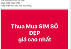 Sim 11 số lên đời: Găm hàng chờ tăng giá, số đẹp tiền tỷ mời khách