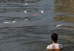 Hà Nội: Cá chết nổi la liệt mặt hồ, vớt mỏi tay cả ngày